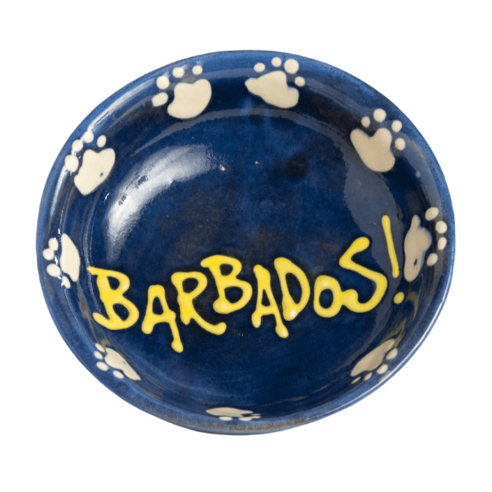 Cat Bowl - Blue Design